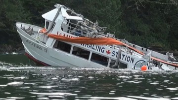 NAME Director comments on tragic whale-watching accident